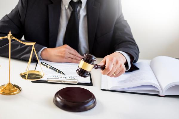 《商标法司法解释最新解读与实践应用》 图1