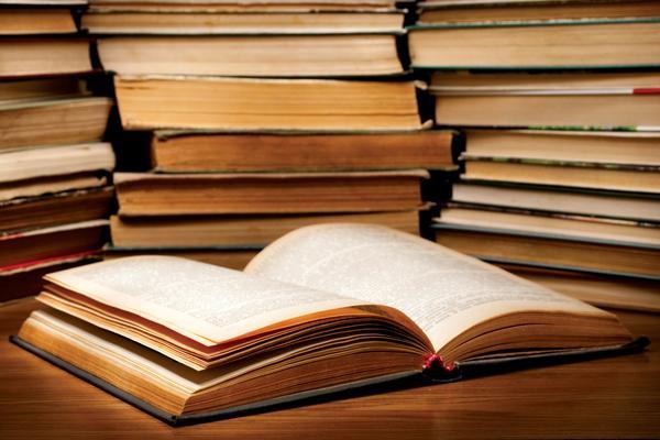 《最新知识产权律师实用书籍目录：知识产权保护与维权策略》 图2