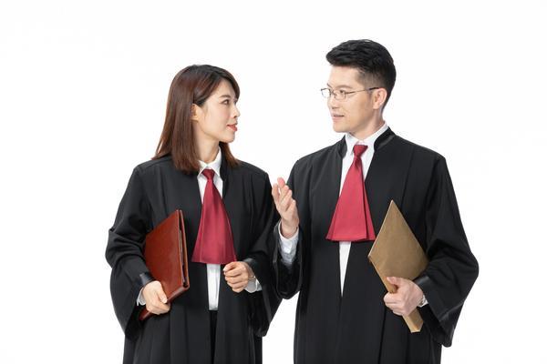 智利知识产权有限公司法律服务分析 图2