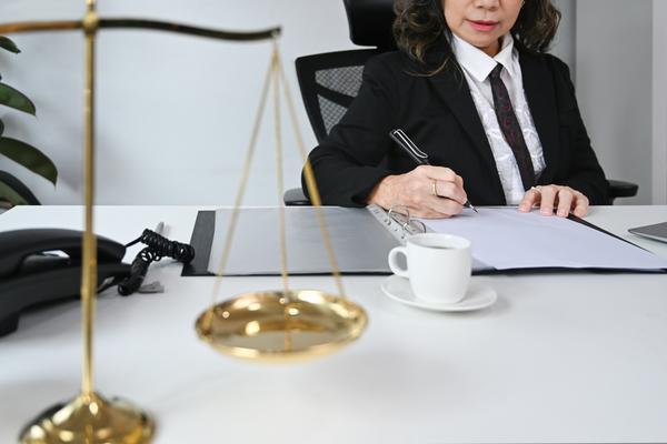 知识产权法律咨询公司|专业提供知识产权保护与维权服务 图2