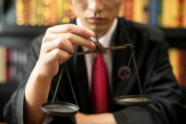 东大知识代理有限公司与中国知识产权法律服务的发展 图1