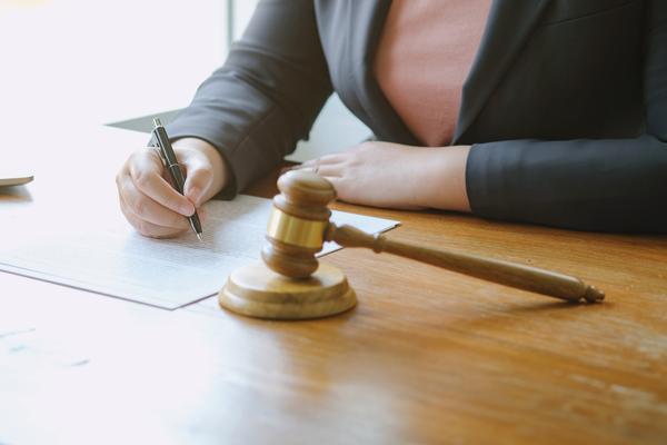 《知识产权法务诉讼技巧与实践》 图2