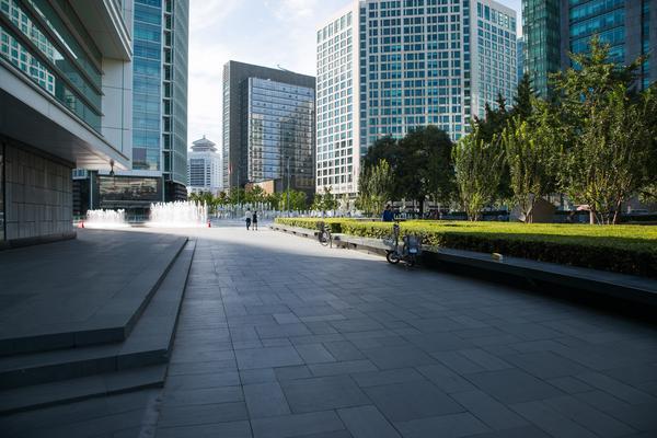 知识产权保护时效与法规建设：构建现代化保