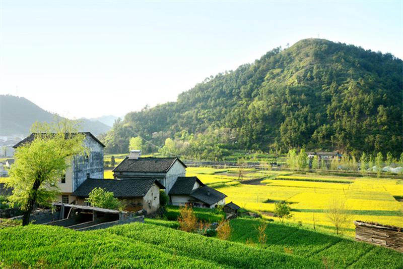 浪漫农村婚礼现场布景：美图欣赏，感受乡村婚礼的温馨与美好图1