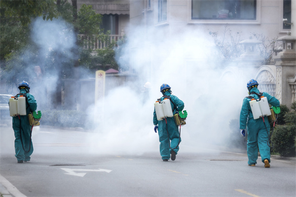 防疫期间交通事故案例分析:探究疫情对交通安全的影响及应对策略 图2